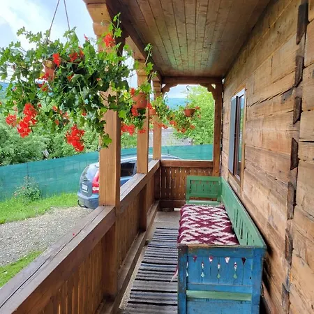 Country house Casa De Lemn