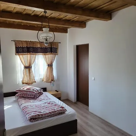 Country house Casa De Lemn *